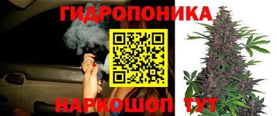 ГАЛЛЮЦИНОГЕННЫЕ ГРИБЫ Балашиха
