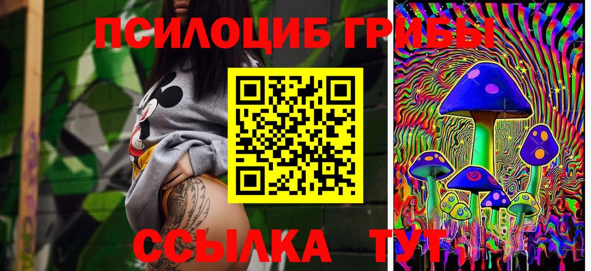 Ефремов  Галлюциногенные грибы Cubensis  Вход с VPN 